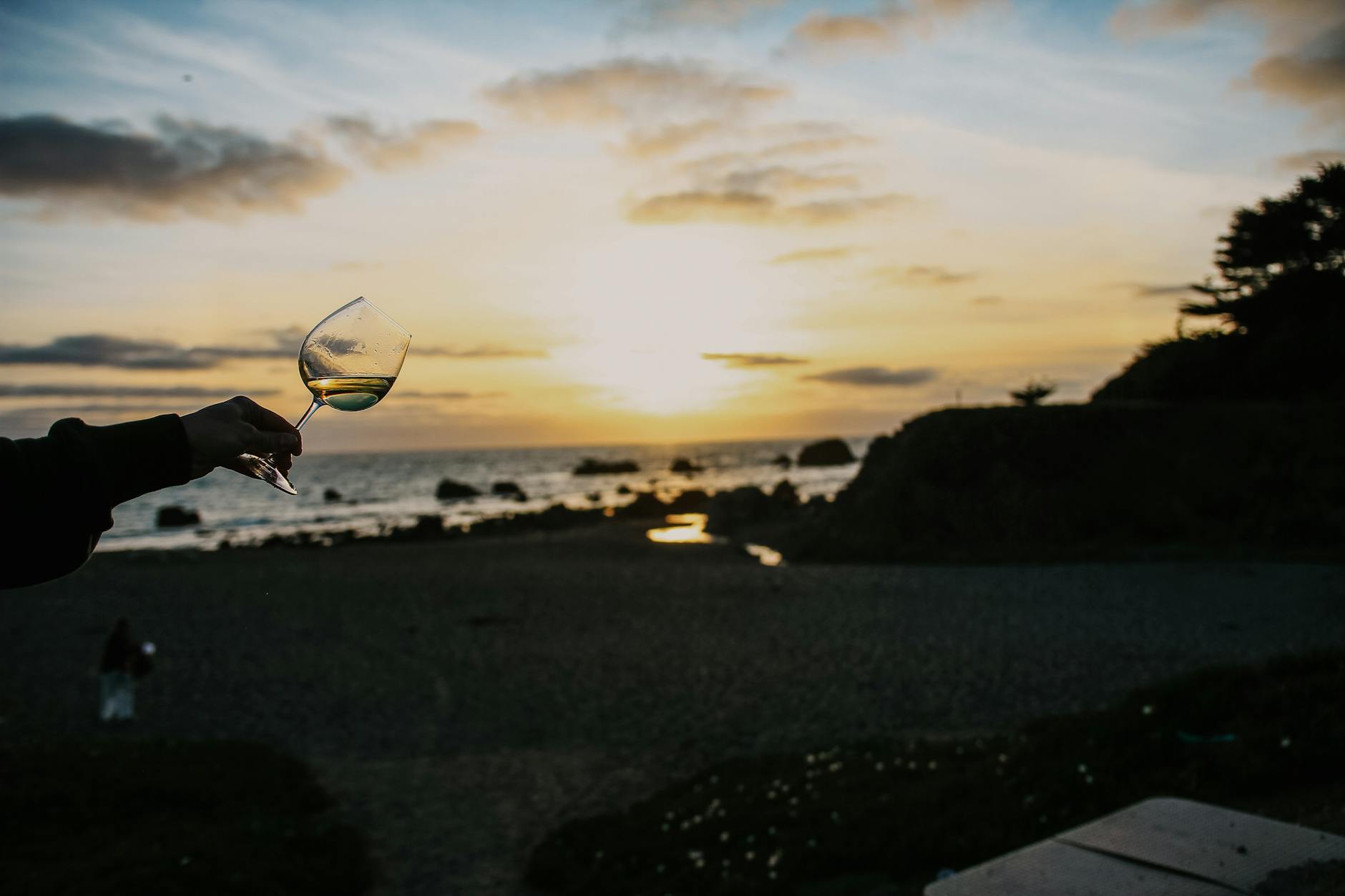 A hand holds a wine glass with the Pacific Ocean and sunset in the background, representing West Coast wine culture.